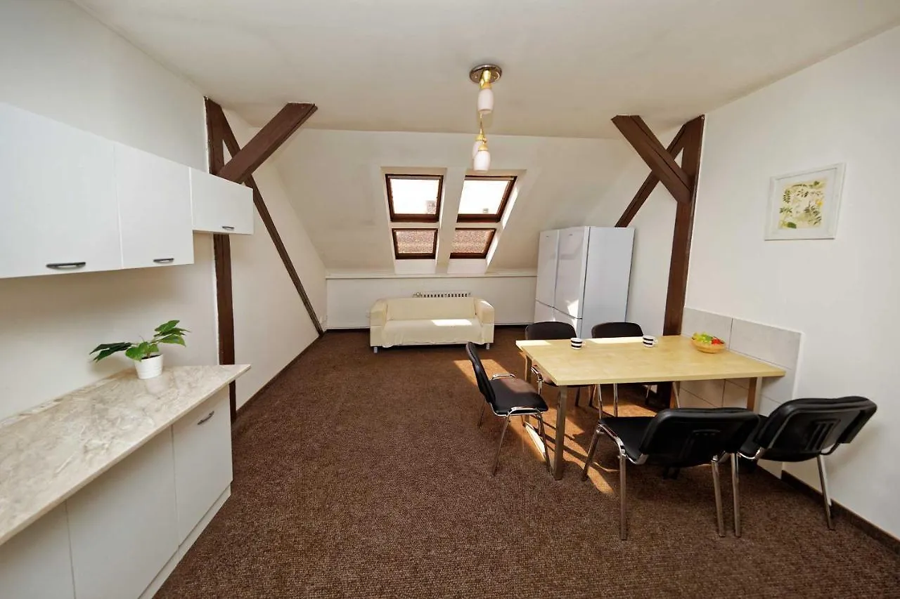 Apartments At I.P.Pavlova Prague Czech Republic